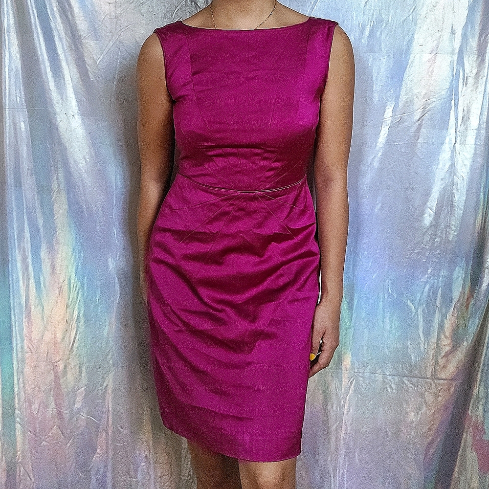 Banana Republic Magenta Dress